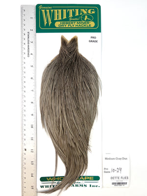 Medium Gray Dun - Whiting Hebert Rooster Cape | Pro Grade (#15)