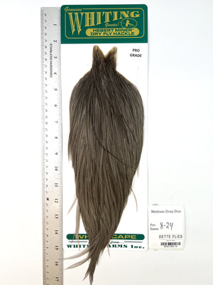 Medium Gray Dun - Whiting Hebert Rooster Cape | Pro Grade (#16)