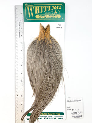 Medium Gray Dun - Whiting Hebert Rooster Cape | Pro Grade (#18)