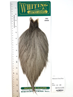 Medium Gray Dun - Whiting Hebert Rooster Cape | Pro Grade (#19)