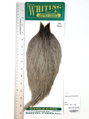 Medium Gray Dun - Whiting Hebert Rooster Cape | Pro Grade (#20)