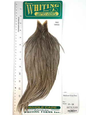 Medium Gray Dun - Whiting Hebert Rooster Cape | Pro Grade (#21)