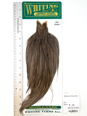 Medium Gray Dun - Whiting Hebert Rooster Cape | Pro Grade (#22)