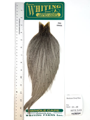 Medium Gray Dun - Whiting Hebert Rooster Cape | Pro Grade (#24)