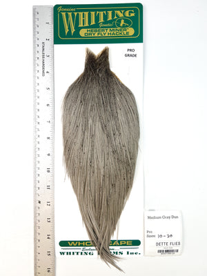 Medium Gray Dun - Whiting Hebert Rooster Cape | Pro Grade (#25)