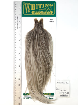 Medium Gray Dun - Whiting Hebert Rooster Cape | Pro Grade (#26)