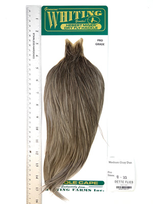 Medium Gray Dun - Whiting Hebert Rooster Cape | Pro Grade (#27)