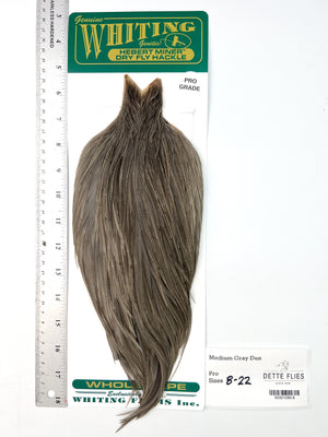 Medium Gray Dun - Whiting Hebert Rooster Cape | Pro Grade (#6)