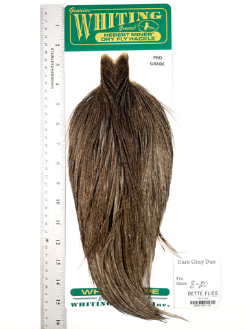 Dark Gray Dun - Whiting Hebert Rooster Cape | Pro Grade (#10)