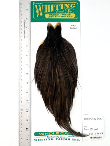 Dark Gray Dun - Whiting Hebert Rooster Cape | Pro Grade (#12)