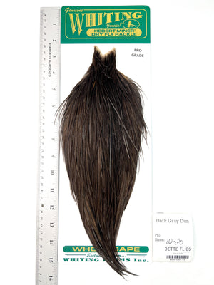 Dark Gray Dun - Whiting Hebert Rooster Cape | Pro Grade (#13)