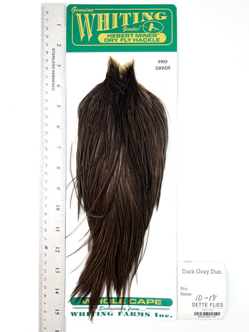 Dark Gray Dun - Whiting Hebert Rooster Cape | Pro Grade (#14)