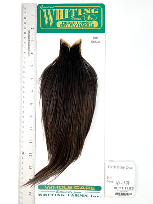 Dark Gray Dun - Whiting Hebert Rooster Cape | Pro Grade (#15)