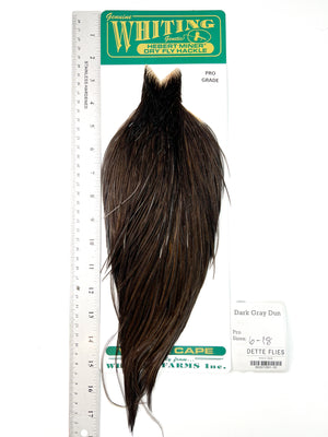 Dark Gray Dun - Whiting Hebert Rooster Cape | Pro Grade (#16)