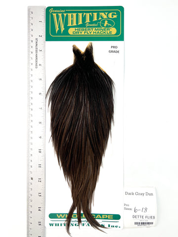 Dark Gray Dun - Whiting Hebert Rooster Cape | Pro Grade (#17)