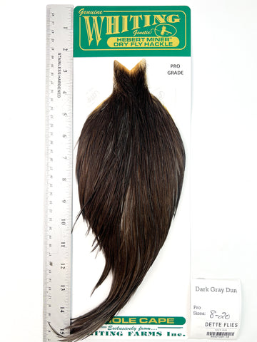 Dark Gray Dun - Whiting Hebert Rooster Cape | Pro Grade (#18)