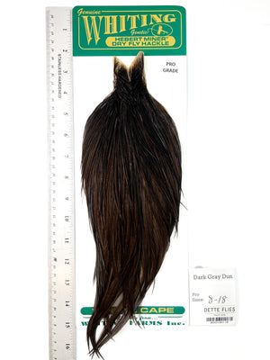 Dark Gray Dun - Whiting Hebert Rooster Cape | Pro Grade (#19)