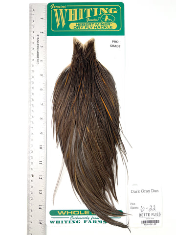 Dark Gray Dun - Whiting Hebert Rooster Cape | Pro Grade (#22)
