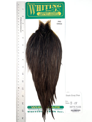 Dark Gray Dun - Whiting Hebert Rooster Cape | Pro Grade (#23)