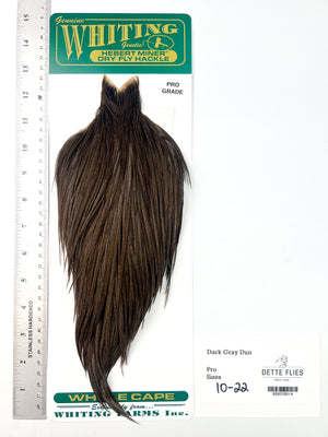 Dark Gray Dun - Whiting Hebert Rooster Cape | Pro Grade