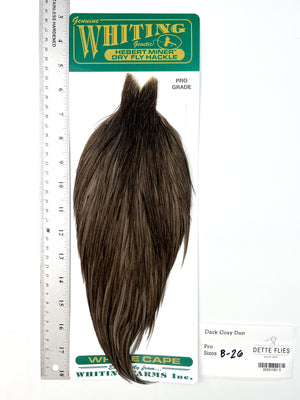 Dark Gray Dun - Whiting Hebert Rooster Cape | Pro Grade (#5)