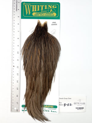 Dark Gray Dun - Whiting Hebert Rooster Cape | Pro Grade (#6)