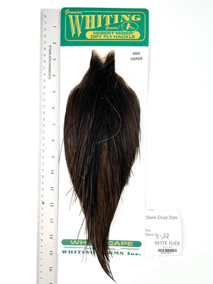 Dark Gray Dun - Whiting Hebert Rooster Cape | Pro Grade (#7)