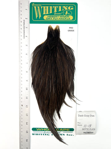 Dark Gray Dun - Whiting Hebert Rooster Cape | Pro Grade (#9)