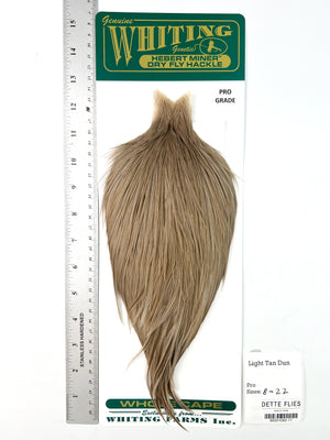 Light Tan Dun - Whiting Hebert Rooster Cape | Pro Grade (#11)