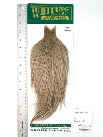 Light Tan Dun - Whiting Hebert Rooster Cape | Pro Grade (#13)