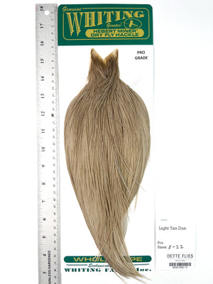 Light Tan Dun - Whiting Hebert Rooster Cape | Pro Grade (#12)