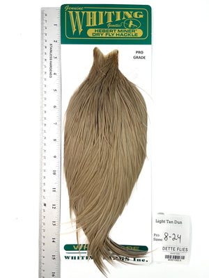 Light Tan Dun - Whiting Hebert Rooster Cape | Pro Grade (#5)