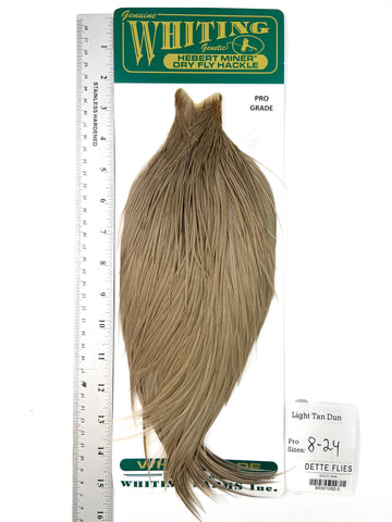 Light Tan Dun - Whiting Hebert Rooster Cape | Pro Grade (#5)