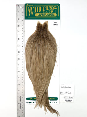Light Tan Dun - Whiting Hebert Rooster Cape | Pro Grade (#6)