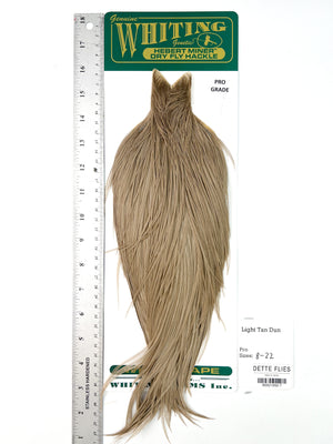 Light Tan Dun - Whiting Hebert Rooster Cape | Pro Grade (#7)