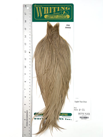 Light Tan Dun - Whiting Hebert Rooster Cape | Pro Grade (#7)