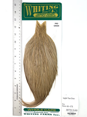Light Tan Dun - Whiting Hebert Rooster Cape | Pro Grade (#8)
