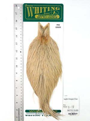 Light Ginger Dun - Whiting Hebert Rooster Cape | Pro Grade (#10)