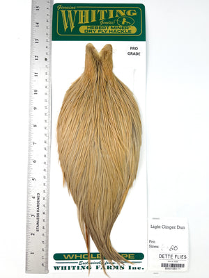 Light Ginger Dun - Whiting Hebert Rooster Cape | Pro Grade (#11)