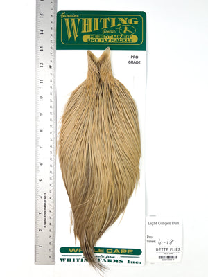 Light Ginger Dun - Whiting Hebert Rooster Cape | Pro Grade (#5)