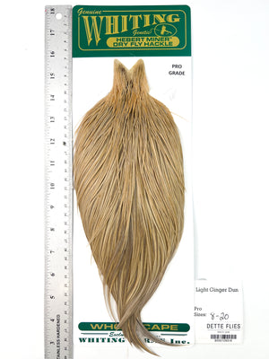 Light Ginger Dun - Whiting Hebert Rooster Cape | Pro Grade (#6)