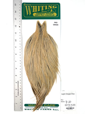 Light Ginger Dun - Whiting Hebert Rooster Cape | Pro Grade (#9)