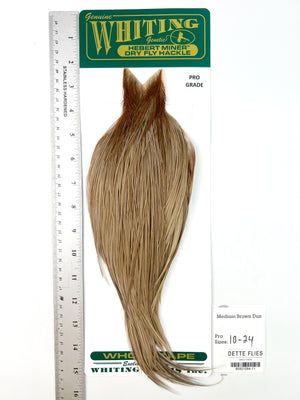 Medium Brown Dun - Whiting Hebert Rooster Cape | Pro Grade (#11)