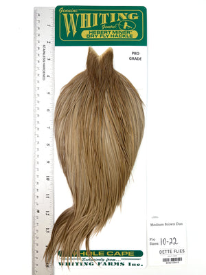 Medium Brown Dun - Whiting Hebert Rooster Cape | Pro Grade (#6)