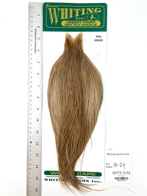 Medium Brown Dun - Whiting Hebert Rooster Cape | Pro Grade (#9)