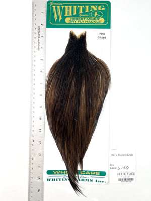 Dark Brown Dun - Whiting Hebert Rooster Cape | Pro Grade (#12)