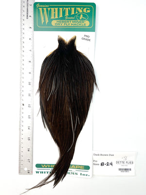 Dark Brown Dun - Whiting Hebert Rooster Cape | Pro Grade (#3)