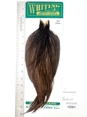 Dark Brown Dun - Whiting Hebert Rooster Cape | Pro Grade (#8)