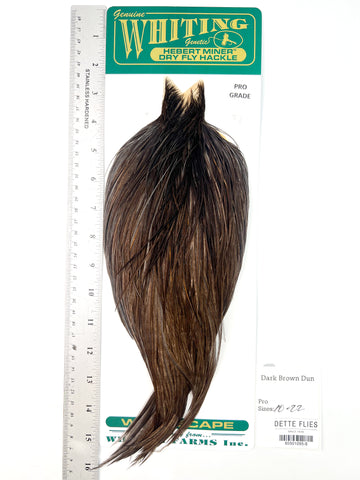 Dark Brown Dun - Whiting Hebert Rooster Cape | Pro Grade (#8)