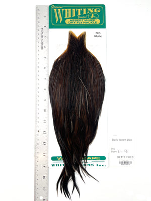 Dark Brown Dun - Whiting Hebert Rooster Cape | Pro Grade (#9)